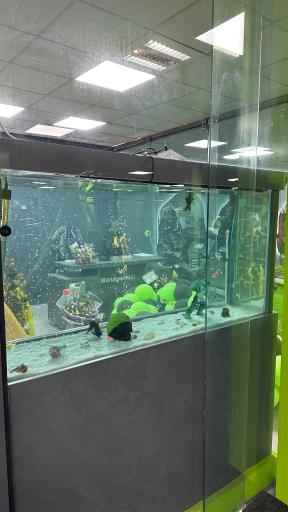 عکس باشگاه بدنسازی آرکو