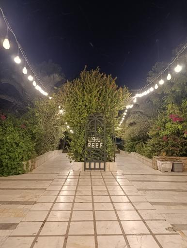 عکس رستوران ریف