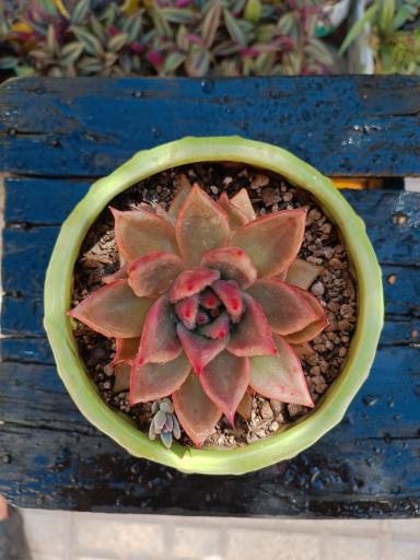 عکس گلکده ساغر