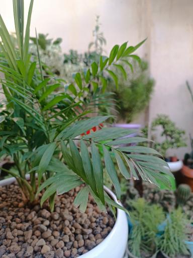 عکس گلکده ساغر