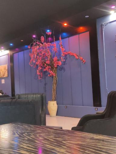 عکس کافه الیزه 1