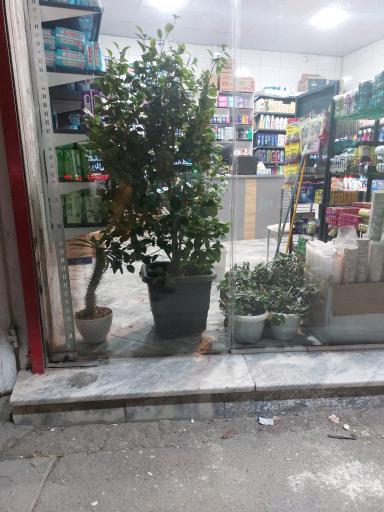 عکس پخش لوازم شوینده و بهداشتی شاهد