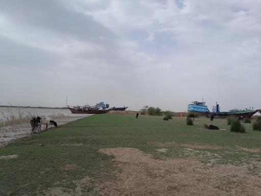 عکس چویبده