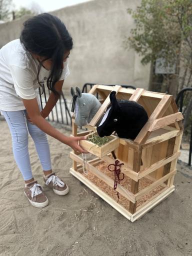 عکس باشگاه سوارکاری انسو