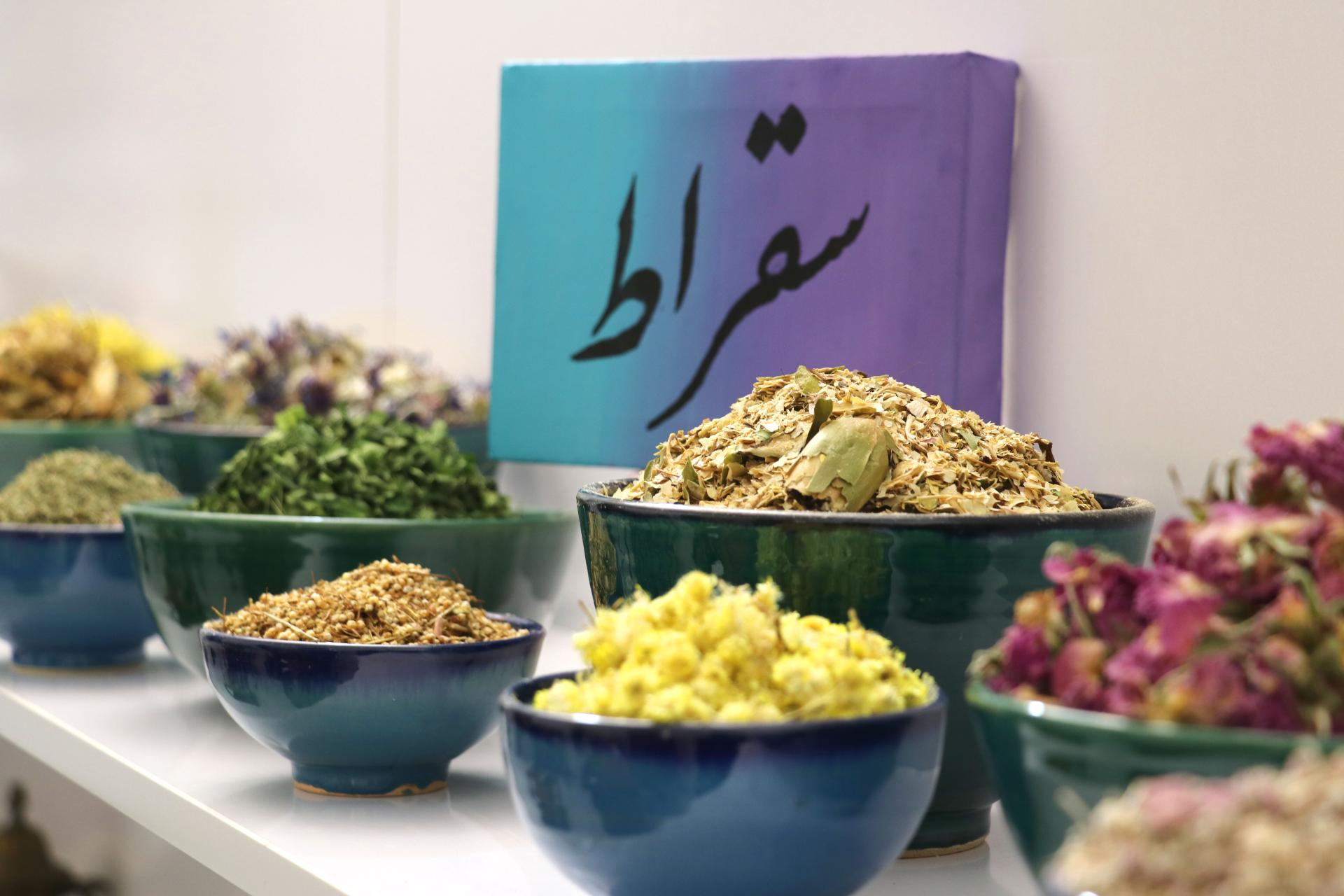 عکس آموزشگاه فنی و حرفه ای سقراط 