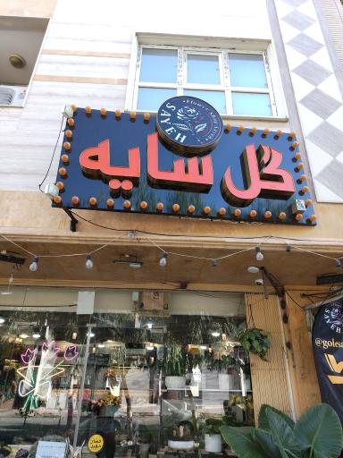 عکس گل فروشی سایه 