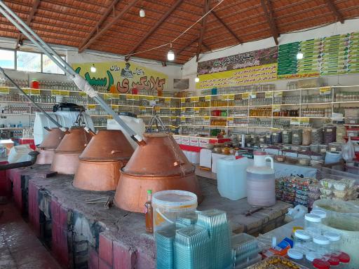 عکس گلابگیری سید