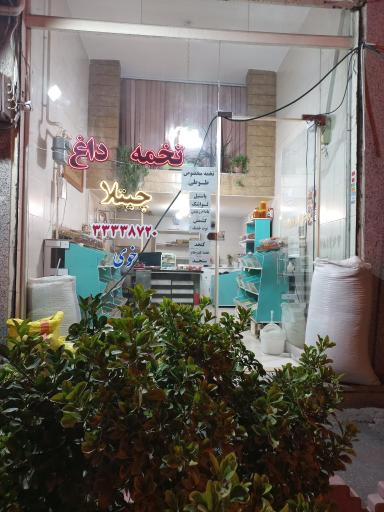 تخمه داغ و آجیلی چتلا