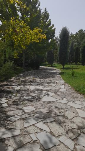 عکس پارک ملت