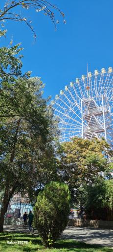 عکس پارک ملت