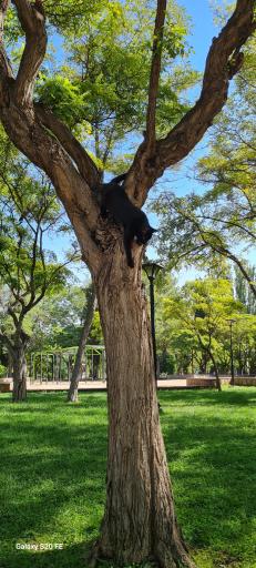 عکس پارک ملت