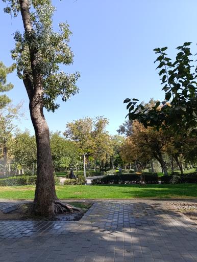 عکس پارک ملت