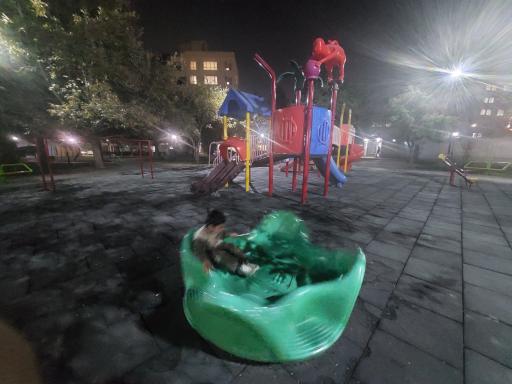 عکس بوستان رضا