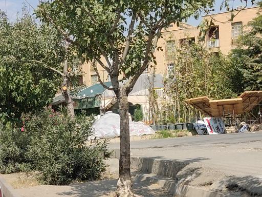 عکس گلخانه ماهان 