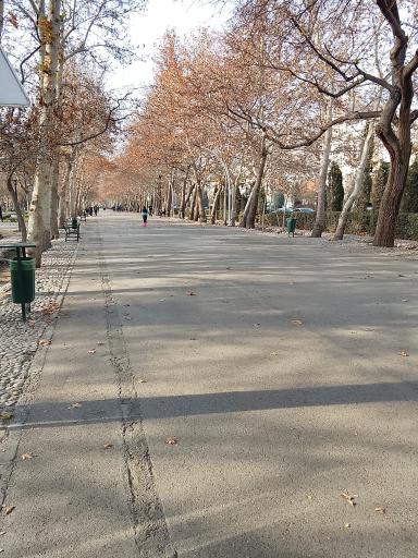 عکس پارک ملت