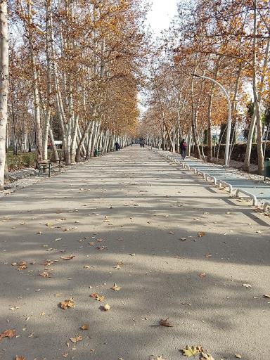 عکس پارک ملت