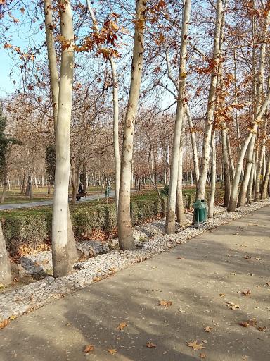 عکس پارک ملت