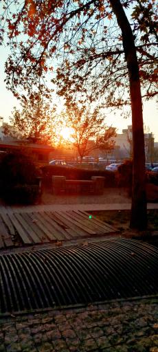 عکس پارک ملت