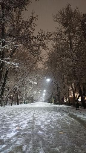 عکس پارک ملت