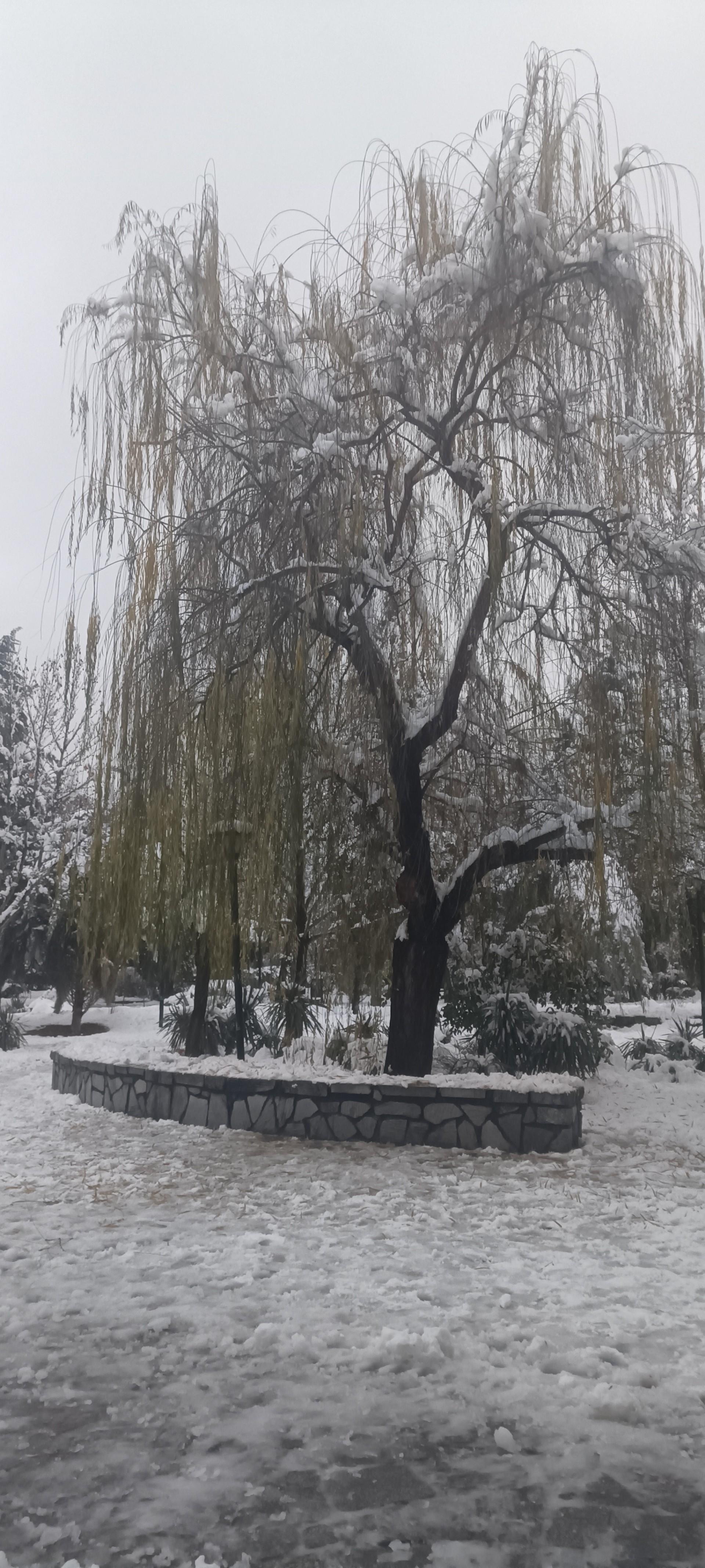 عکس پارک ملت