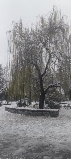 عکس پارک ملت