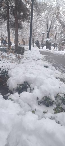 عکس پارک ملت