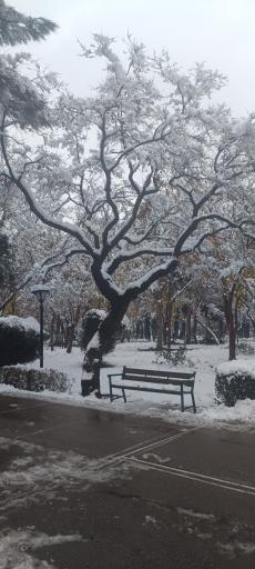 عکس پارک ملت