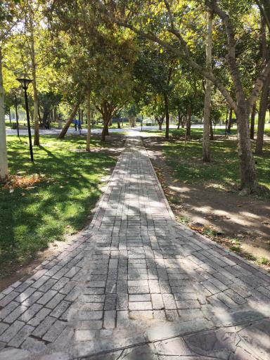 عکس پارک ملت