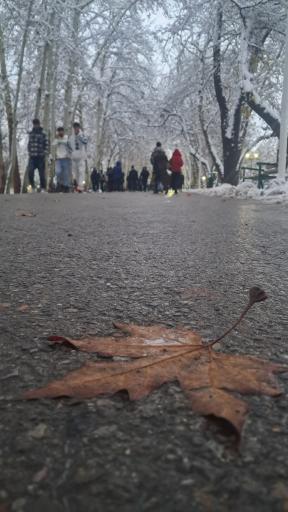 عکس پارک ملت