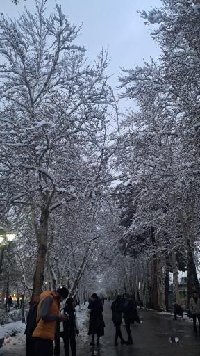 عکس پارک ملت