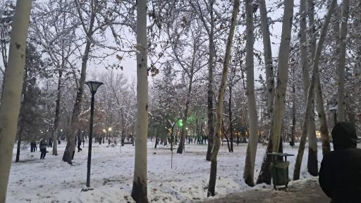 عکس پارک ملت