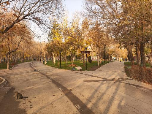 عکس پارک ملت