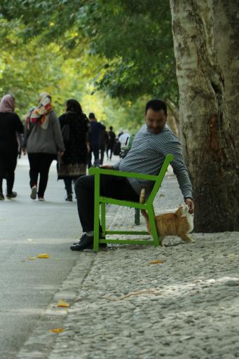 عکس پارک ملت