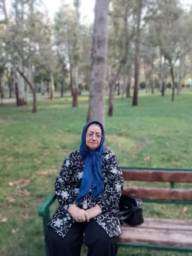 عکس پارک ملت