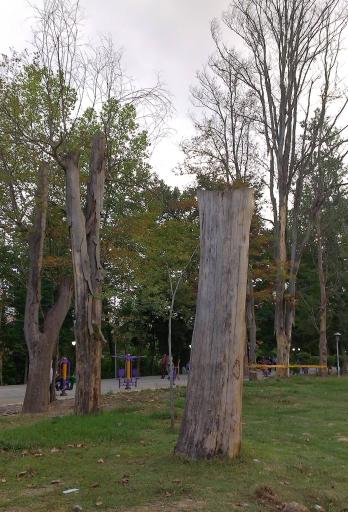 عکس شهربازی پارک محتشم