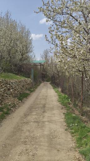 عکس عمارت ناصری شهرستانک