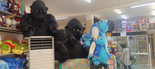 دنیای عروسک