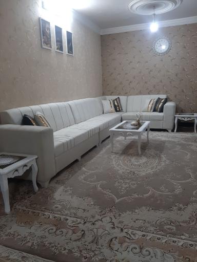 عکس مبلمان برادران مغولی 