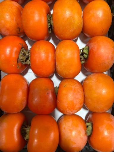 باغ میوه سید