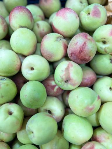 عکس باغ میوه سید