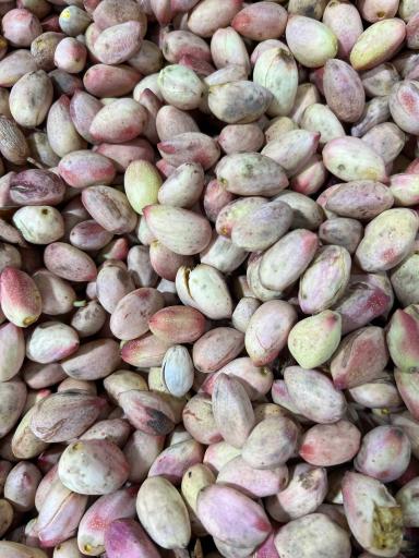 عکس باغ میوه سید