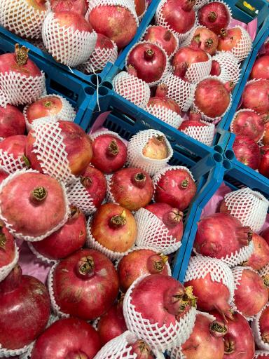 عکس باغ میوه سید