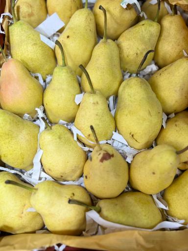 باغ میوه سید