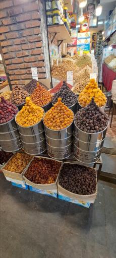 عکس خشکبار حامد نگارپرورش