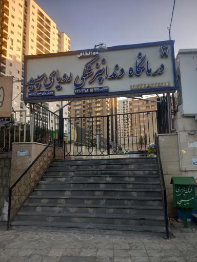 عکس دندانپزشکی رویای سپید