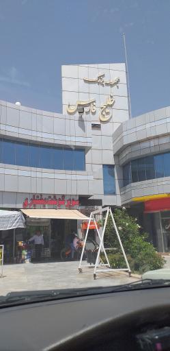 عکس بازار ماهی خلیج فارس