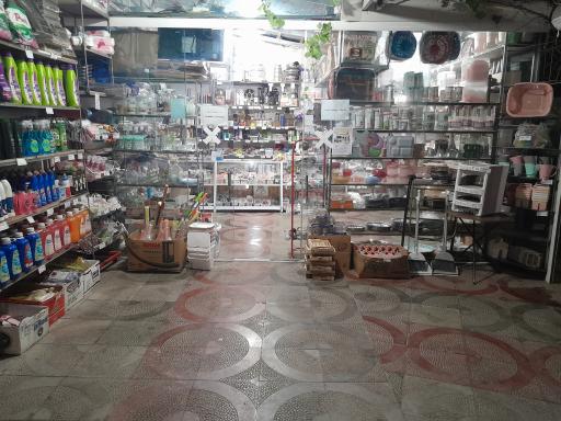 عکس کیش کالا لشت نشا