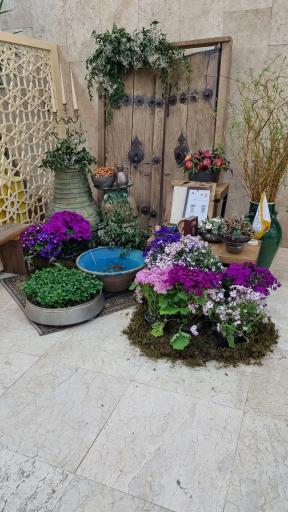 عکس کافه گندم