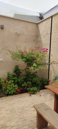 عکس کافه گندم