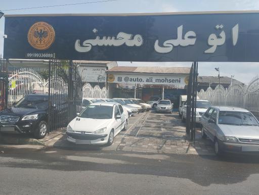 عکس اتو گالری علی محسنی 